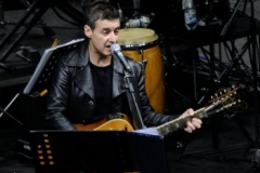 8 giugno 2013, apertura live di Edoardo Bennato (VI) (4)