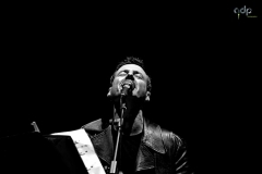 8 giugno 2013, apertura live di Edoardo Bennato (VI)
